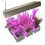Фитолампа Ярчесвет WST 05-001-70-3 фитосветильник длина 50 см