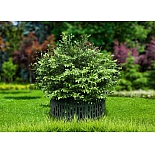 Защита деревьев и кустов 4 секции по 35 см высотой 21 см Мастер Сад зеленый