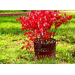 Защита деревьев и кустов 4 секции по 35 см высотой 21 см Мастер Сад коричневый